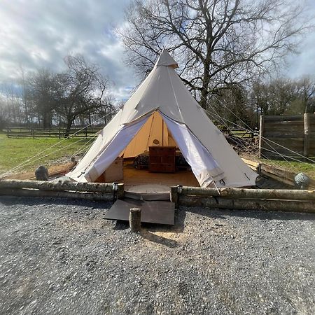 Chalet Au Coeur De La Nature Le Grand-Luce ภายนอก รูปภาพ